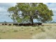133 Priors Road, Kingsthorpe QLD 4400