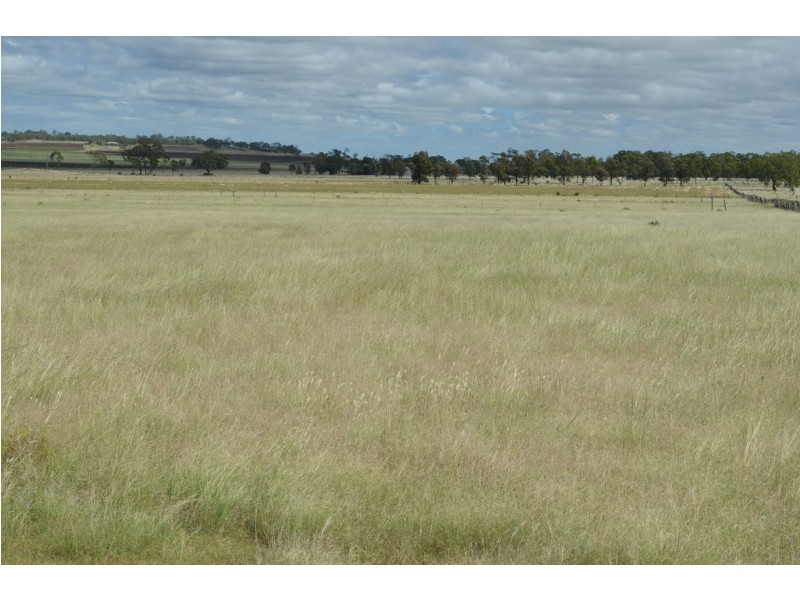 133 Priors Road, Kingsthorpe QLD 4400