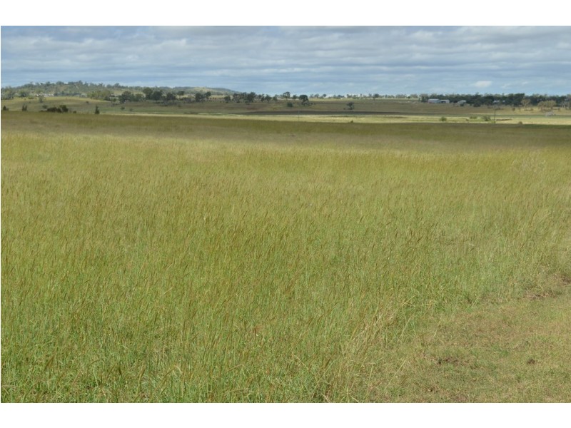 133 Priors Road, Kingsthorpe QLD 4400
