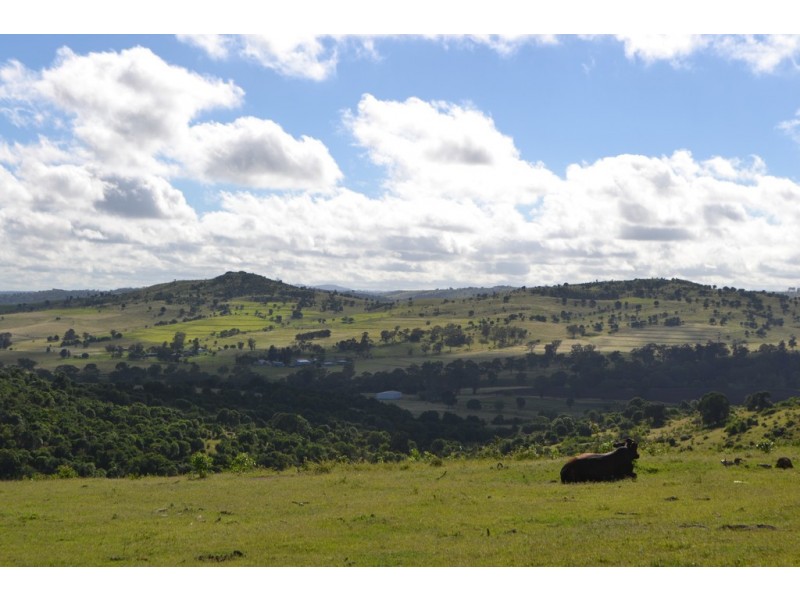 202 Dearling Road, Haden QLD 4353