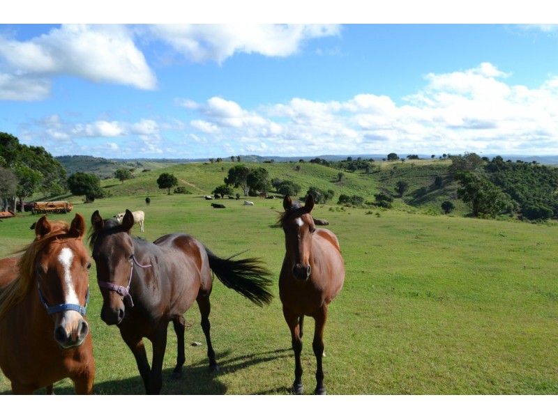 202 Dearling Road, Haden QLD 4353