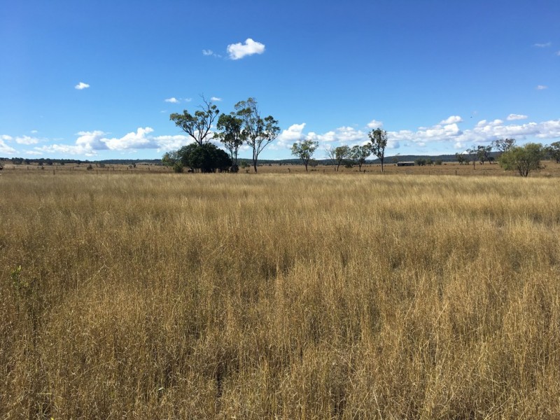 Lot 100 Oakey Cooyar Road, Rosalie Plains QLD 4401