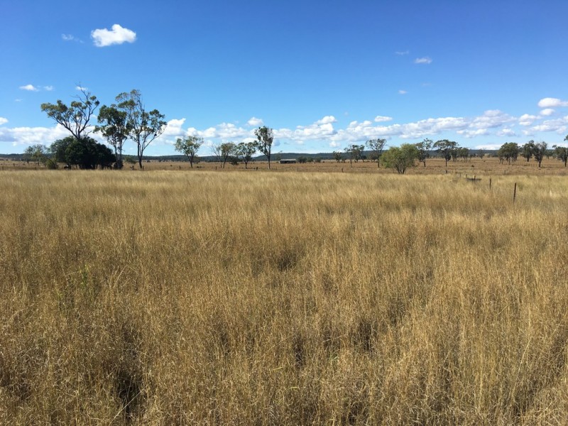 Lot 100 Oakey Cooyar Road, Rosalie Plains QLD 4401