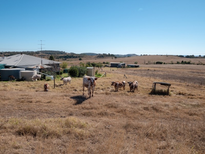 1009 Haden Crows Nest Road, Bergen QLD 4353