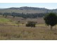 59 Thornville Range Road, Thornville QLD 4352