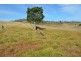 59 Thornville Range Road, Thornville QLD 4352