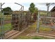 59 Thornville Range Road, Thornville QLD 4352