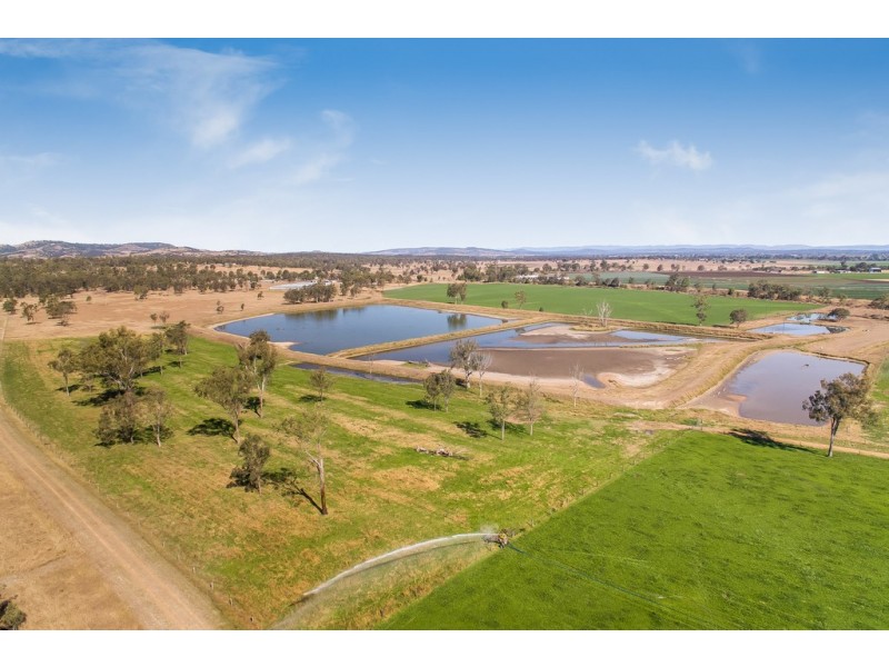 137 Clarendon Station Road, Clarendon QLD 4311