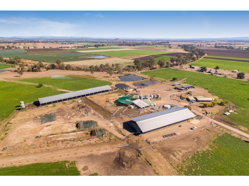137 Clarendon Station Road, Clarendon QLD 4311