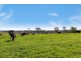 137 Clarendon Station Road, Clarendon QLD 4311