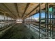 137 Clarendon Station Road, Clarendon QLD 4311