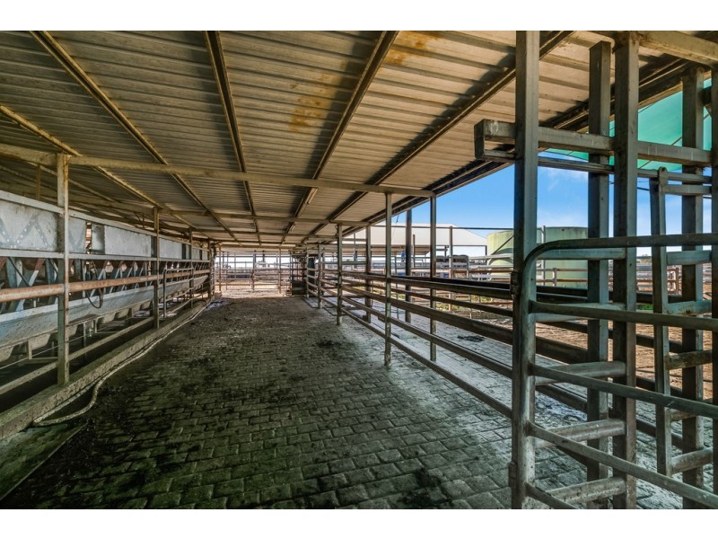 137 Clarendon Station Road, Clarendon QLD 4311