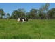 137 Clarendon Station Road, Clarendon QLD 4311