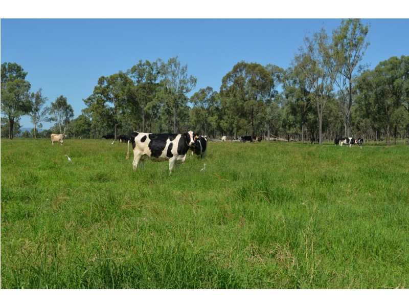 137 Clarendon Station Road, Clarendon QLD 4311