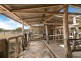 3282 Oakey-Pittsworth Road, Pittsworth QLD 4356