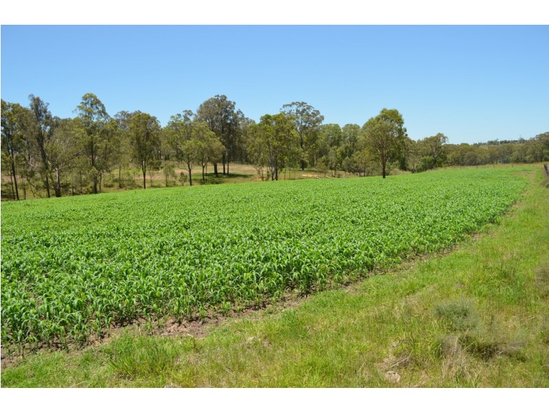 Lot 1 New England Hwy, Coalbank QLD 4352