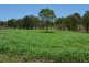 Lot 1 New England Hwy, Coalbank QLD 4352