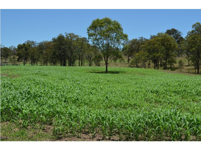 Lot 1 New England Hwy, Coalbank QLD 4352