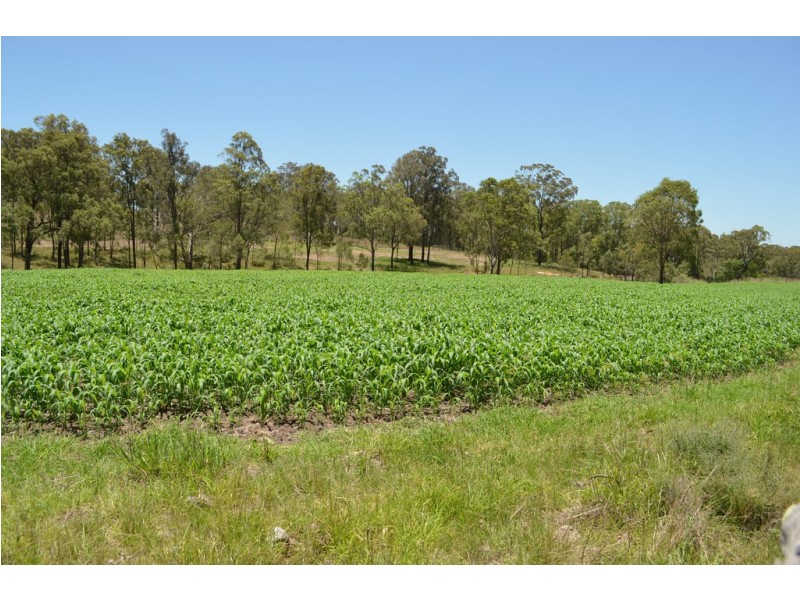 Lot 1 New England Hwy, Coalbank QLD 4352
