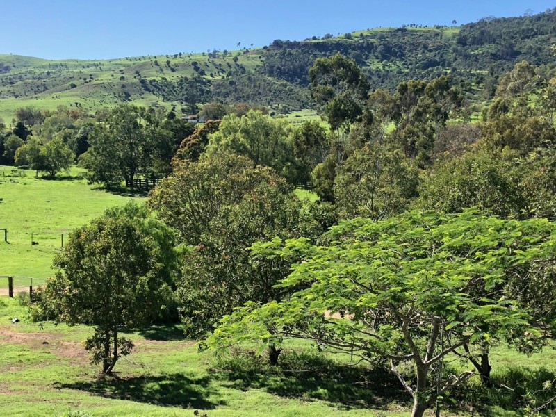 476 Derrymore Road, Derrymore QLD 4352