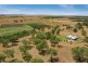503 Oakey Pittsworth Road, Aubigny QLD 4401