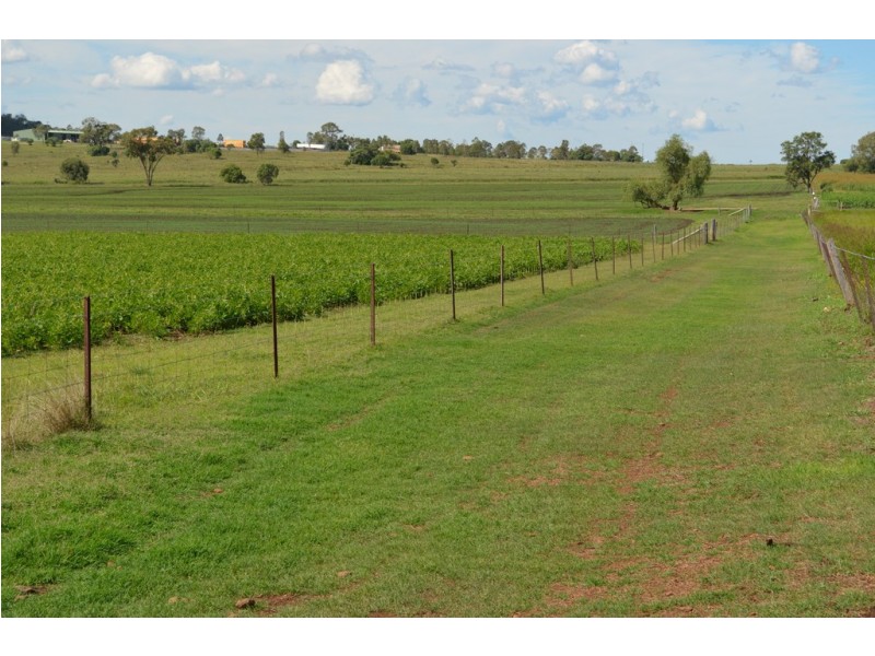 503 Oakey Pittsworth Road, Aubigny QLD 4401