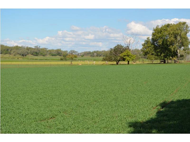 503 Oakey Pittsworth Road, Aubigny QLD 4401