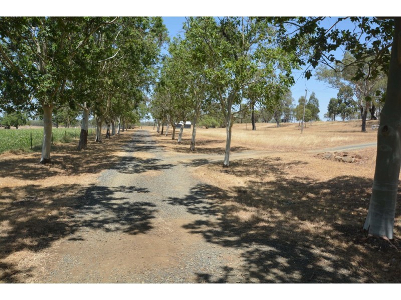 503 Oakey Pittsworth Road, Aubigny QLD 4401