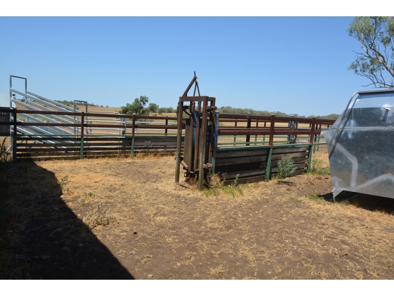 503 Oakey Pittsworth Road, Aubigny QLD 4401