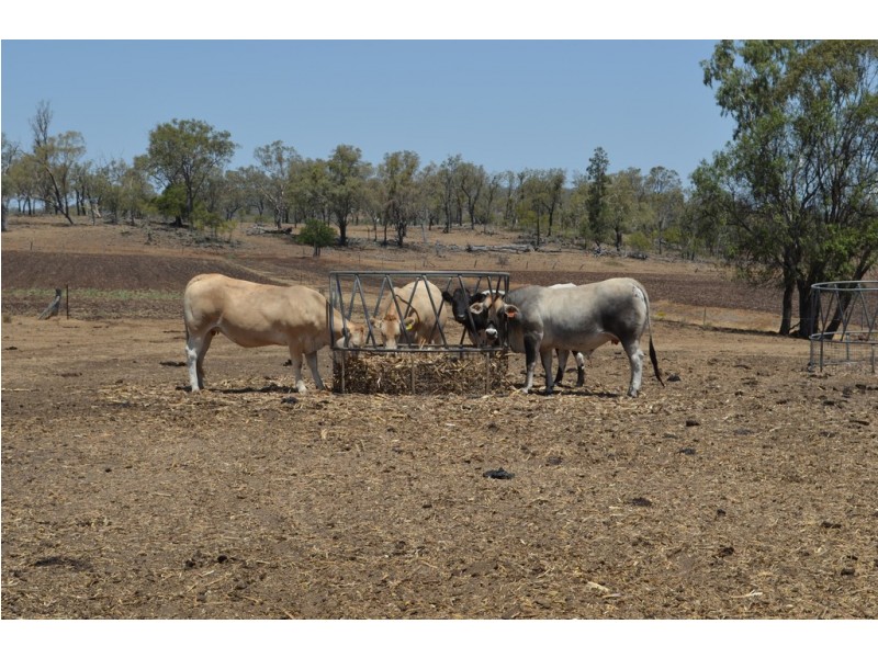 438 Aubigny Crosshill Road, Aubigny QLD 4401