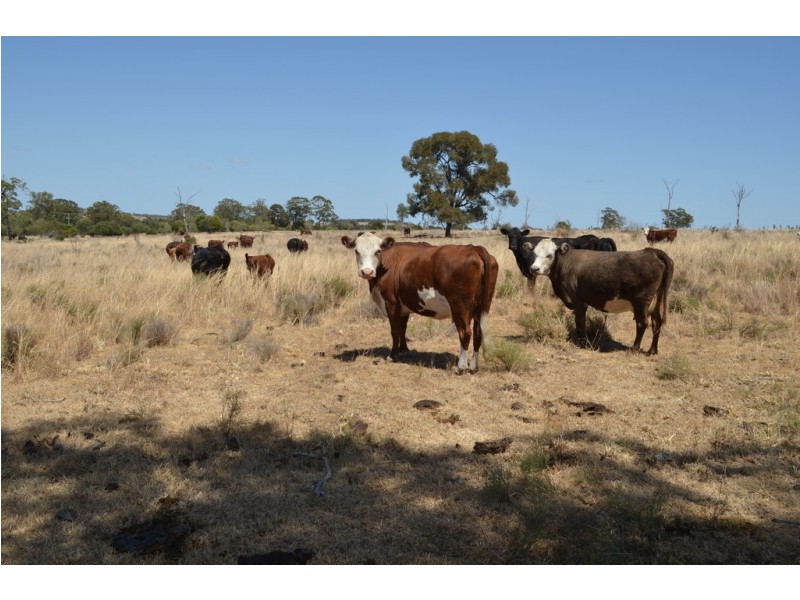 30 Hartwigs Road, Quinalow QLD 4403