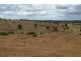 69 Macginleys Road, West Haldon QLD 4359