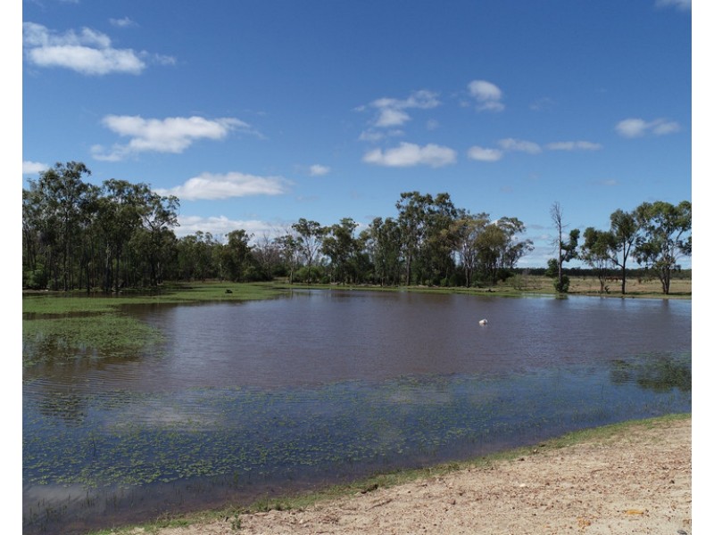 2544 Cecil Plains-Moonie Road, Dunmore QLD 4407