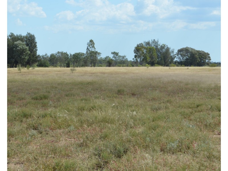 2544 Cecil Plains-Moonie Road, Dunmore QLD 4407