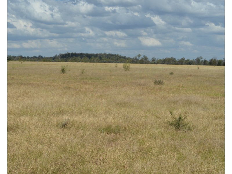 2544 Cecil Plains-Moonie Road, Dunmore QLD 4407