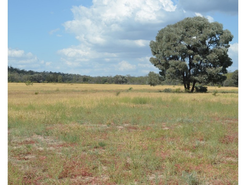 2544 Cecil Plains-Moonie Road, Dunmore QLD 4407