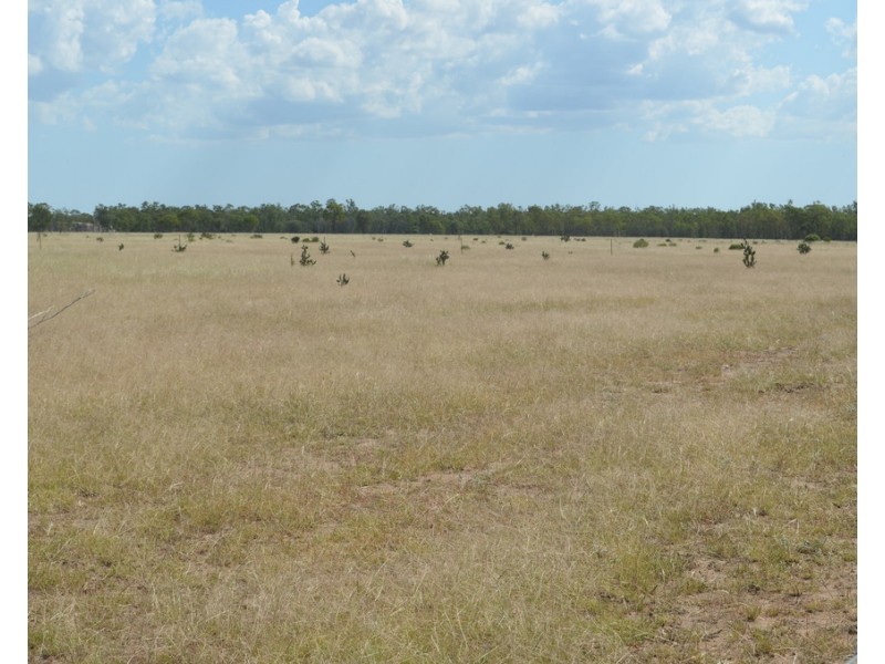 2544 Cecil Plains-Moonie Road, Dunmore QLD 4407