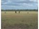 2544 Cecil Plains-Moonie Road, Dunmore QLD 4407