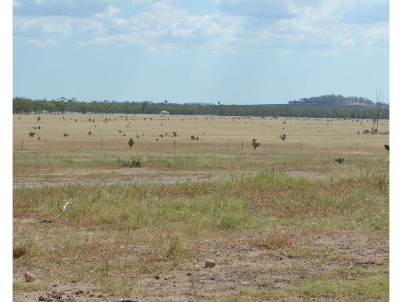 2544 Cecil Plains-Moonie Road, Dunmore QLD 4407
