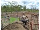 2544 Cecil Plains-Moonie Road, Dunmore QLD 4407