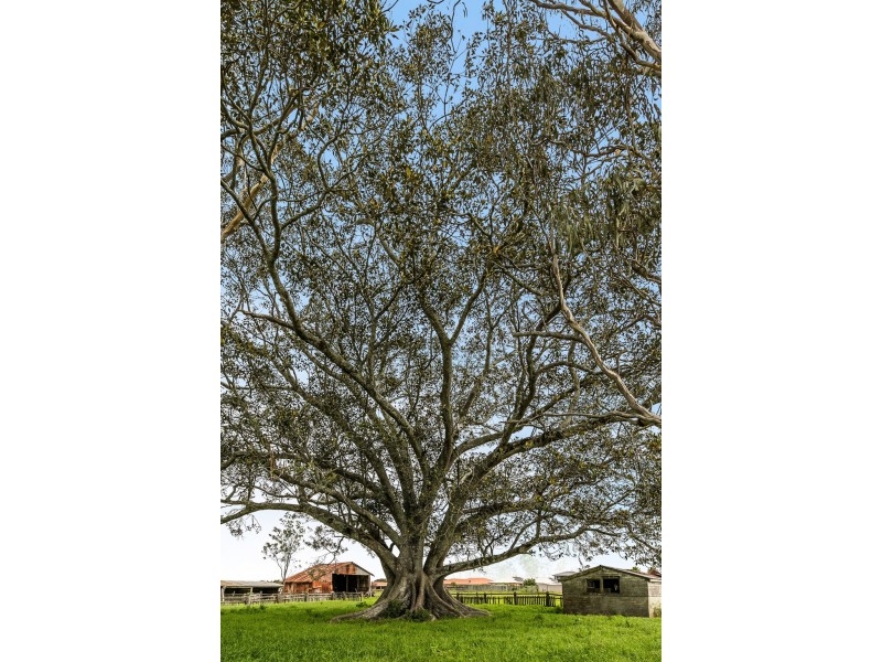 255 – 271 Greenwattle Street, Cranley QLD 4350