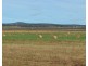 Lot 3 Hurga Road (Western end of Rosenberger Road), Umbiram QLD 4352