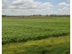 Lot 3 Hurga Road (Western end of Rosenberger Road), Umbiram QLD 4352