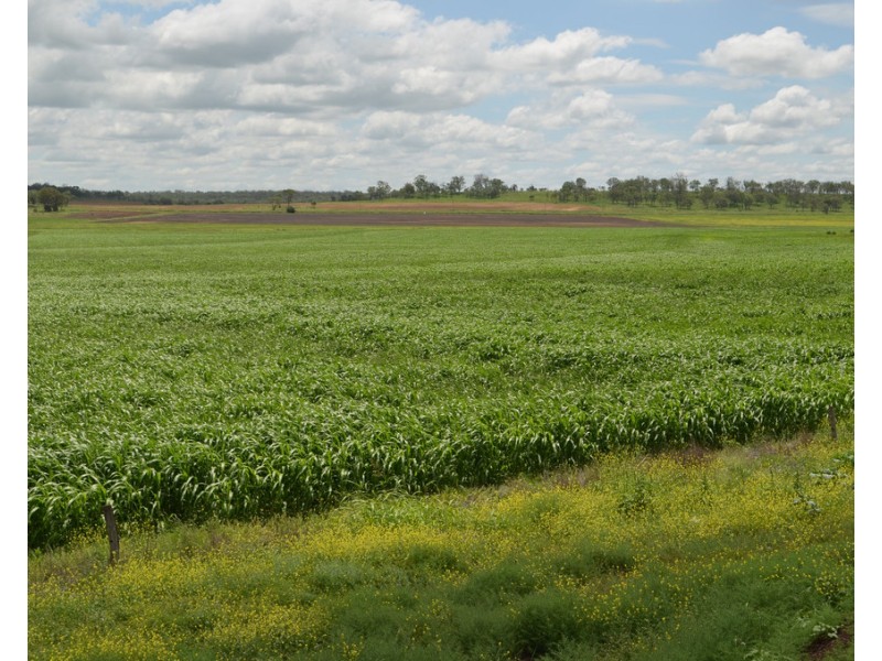 Lot 3 Hurga Road (Western end of Rosenberger Road), Umbiram QLD 4352
