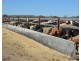 102 Crighton Road, Biddeston QLD 4401