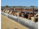 102 Crighton Road, Biddeston QLD 4401