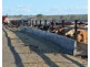 102 Crighton Road, Biddeston QLD 4401