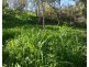 140 Carroll Road, Hodgson Vale QLD 4352