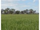 243 Bacons Road, Kelvinhaugh QLD 4401