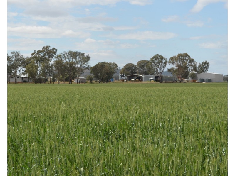 243 Bacons Road, Kelvinhaugh QLD 4401